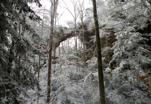 Snow on the Rough Trail